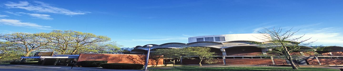 Brandeis University banner